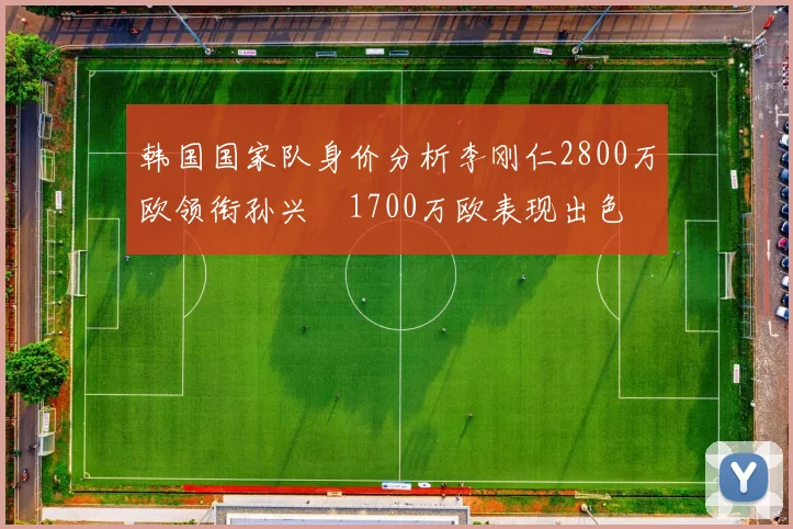 韩国国家队身价分析李刚仁2800万欧领衔孙兴慜1700万欧表现出色