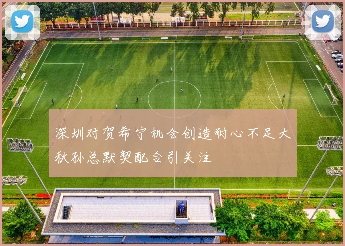 深圳对贺希宁机会创造耐心不足大秋孙总默契配合引关注