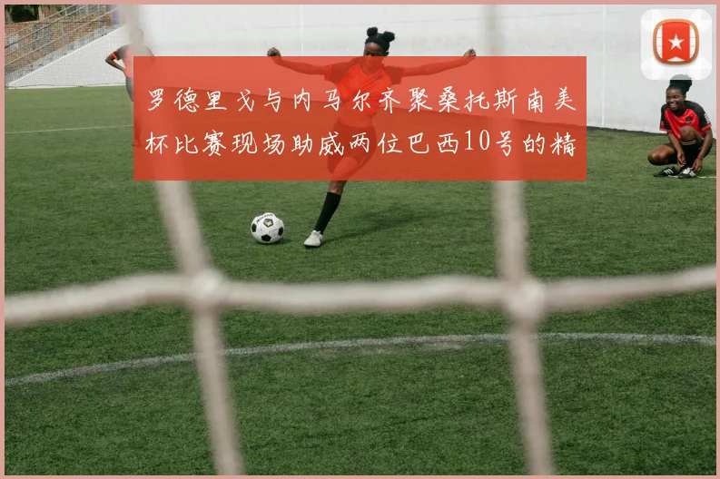 罗德里戈与内马尔齐聚桑托斯南美杯比赛现场助威两位巴西10号的精彩时刻
